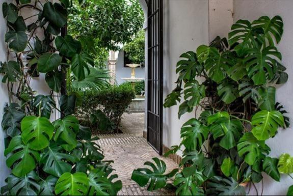 Apartamento De Dos Dormitorios En Plaza Alfaro Séville Extérieur photo